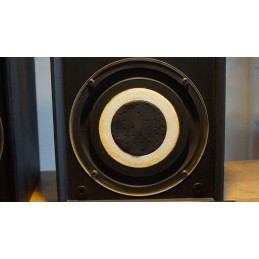 Originele Celestion Ditton 15 XR speakers