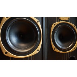 Prachtige Tannoy Mercury MkII speakers